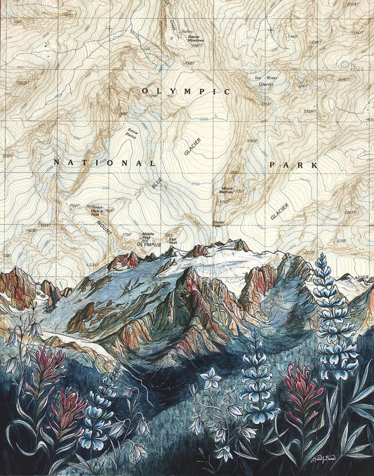 An art print depicting a topographic map of Olympic National Park transitioning into a detailed illustration of mountain peaks and wildflowers in the foreground.