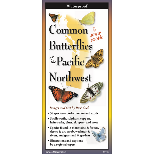 Common Butterflies of Pacific Northwest Pocket Guide